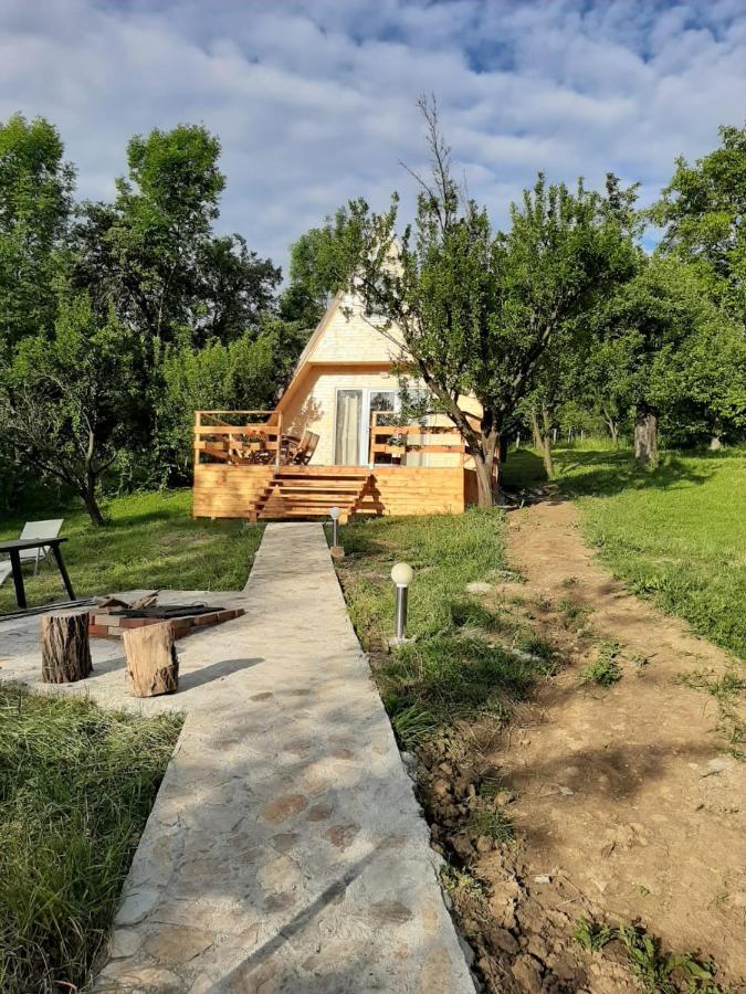 Cabana Din Livada Pucioasa ภายนอก รูปภาพ