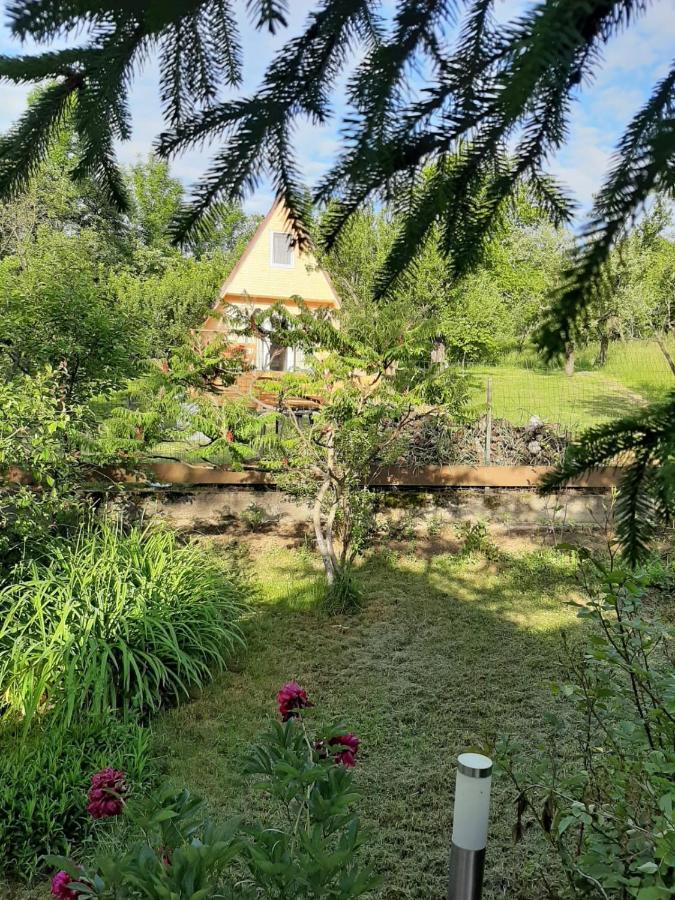 Cabana Din Livada Pucioasa ภายนอก รูปภาพ