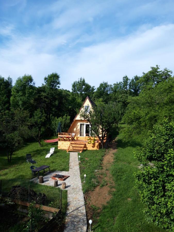 Cabana Din Livada Pucioasa ภายนอก รูปภาพ